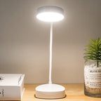 LED Desk Lamp with Flexible Gooseneck - Rechargeable USB Light